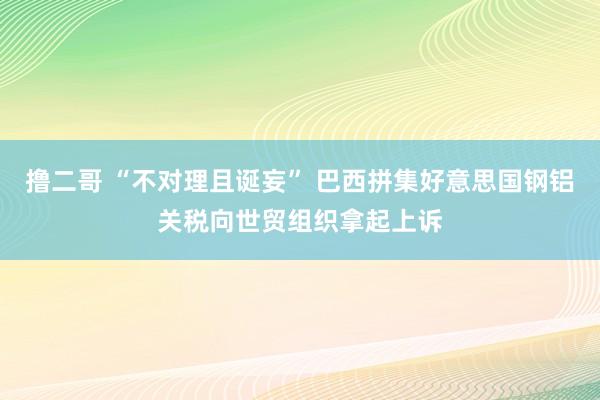   撸二哥 “不对理且诞妄” 巴西拼集好意思国钢铝关税向世贸组织拿起上诉