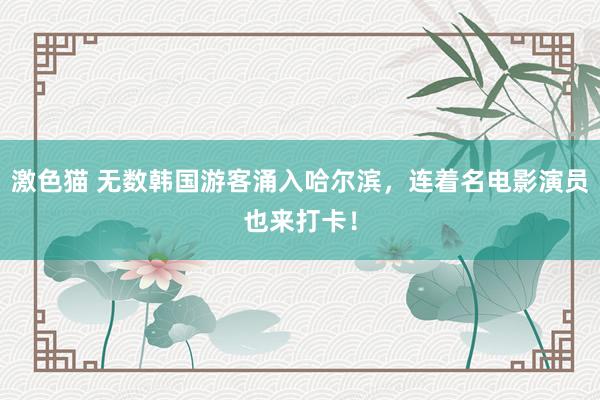   激色猫 无数韩国游客涌入哈尔滨，连着名电影演员也来打卡！