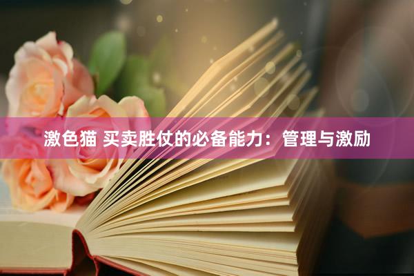  激色猫 买卖胜仗的必备能力：管理与激励