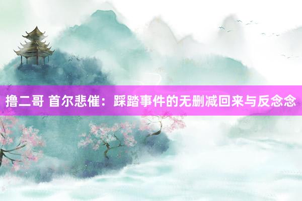   撸二哥 首尔悲催：踩踏事件的无删减回来与反念念