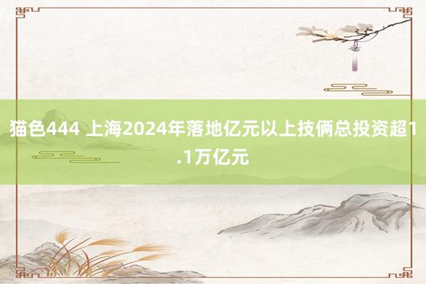   猫色444 上海2024年落地亿元以上技俩总投资超1.1万亿元