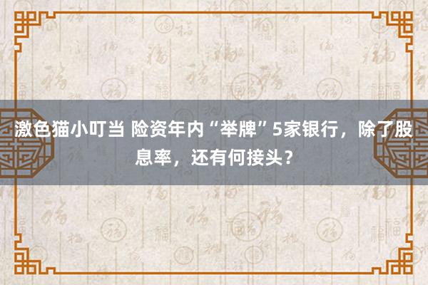   激色猫小叮当 险资年内“举牌”5家银行，除了股息率，还有何接头？