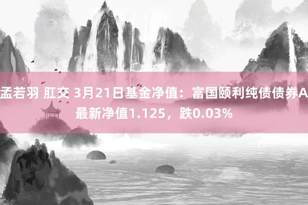   孟若羽 肛交 3月21日基金净值：富国颐利纯债债券A最新净值1.125，跌0.03%