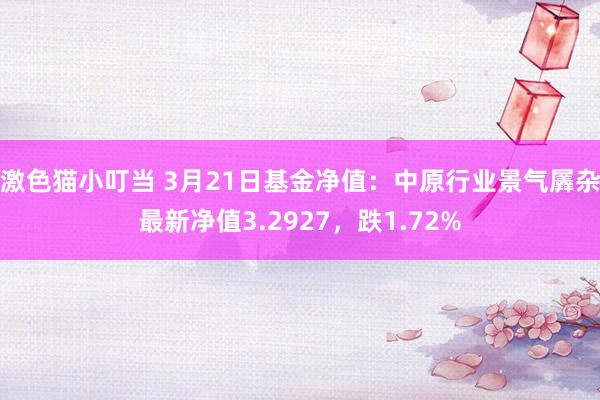   激色猫小叮当 3月21日基金净值：中原行业景气羼杂最新净值3.2927，跌1.72%