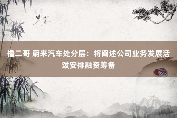   撸二哥 蔚来汽车处分层：将阐述公司业务发展活泼安排融资筹备