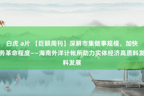   白虎 a片 【巨额周刊】深耕市集做事规模，加快业务革命程度——海南外洋计帐所助力实体经济高质料发展
