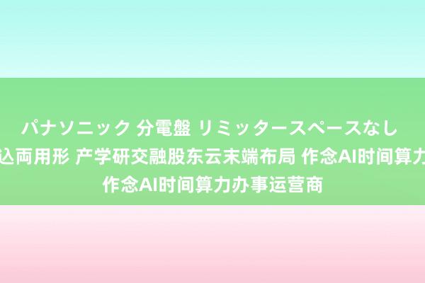   パナソニック 分電盤 リミッタースペースなし 露出・半埋込両用形 产学研交融股东云末端布局 作念AI时间算力办事运营商