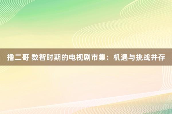   撸二哥 数智时期的电视剧市集：机遇与挑战并存