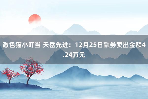   激色猫小叮当 天岳先进：12月25日融券卖出金额4.24万元