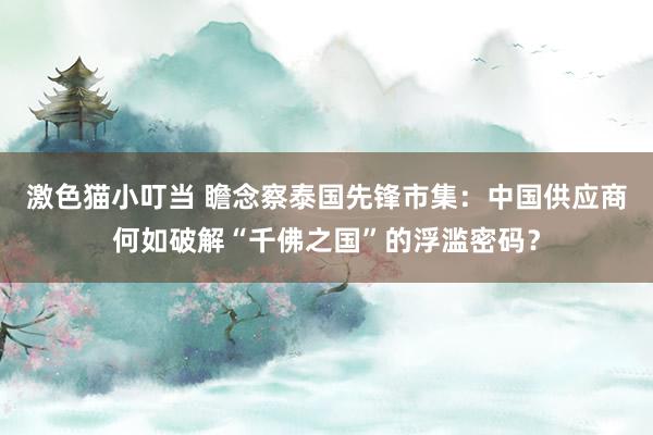   激色猫小叮当 瞻念察泰国先锋市集：中国供应商何如破解“千佛之国”的浮滥密码？