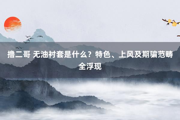   撸二哥 无油衬套是什么？特色、上风及期骗范畴全浮现