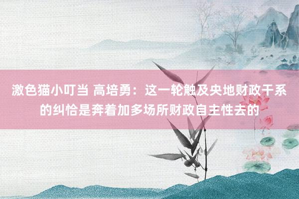   激色猫小叮当 高培勇：这一轮触及央地财政干系的纠恰是奔着加多场所财政自主性去的