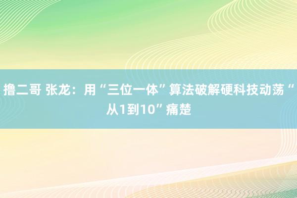   撸二哥 张龙：用“三位一体”算法破解硬科技动荡“从1到10”痛楚