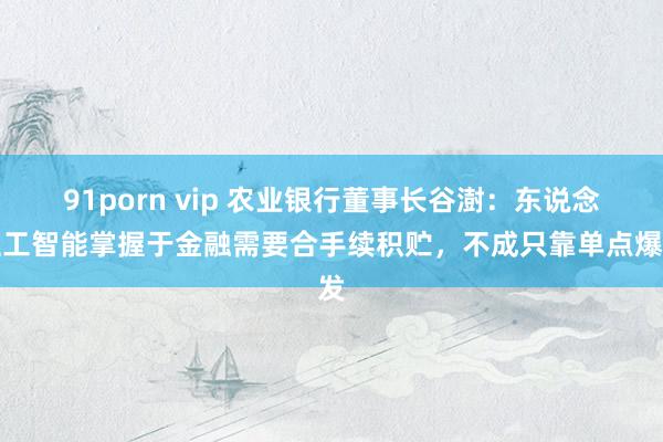   91porn vip 农业银行董事长谷澍：东说念主工智能掌握于金融需要合手续积贮，不成只靠单点爆发