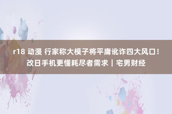 r18 动漫 行家称大模子将平庸讹诈四大风口！改日手机更懂耗尽者需求｜宅男财经