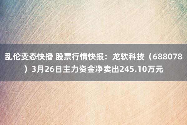   乱伦变态快播 股票行情快报：龙软科技（688078）3月26日主力资金净卖出245.10万元