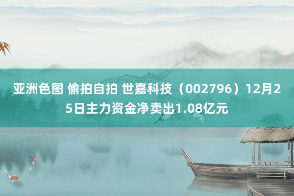   亚洲色图 偷拍自拍 世嘉科技（002796）12月25日主力资金净卖出1.08亿元