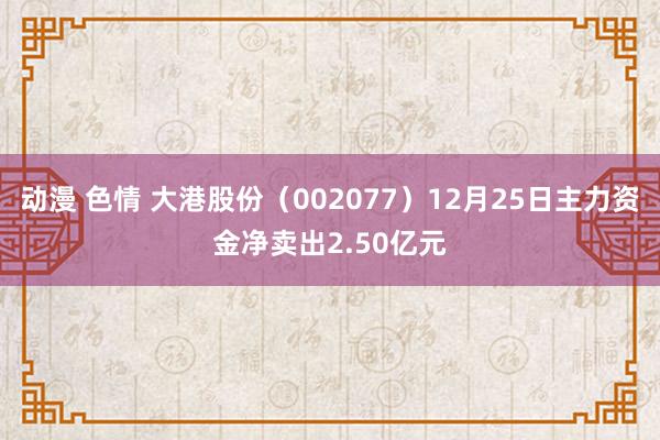   动漫 色情 大港股份（002077）12月25日主力资金净卖出2.50亿元