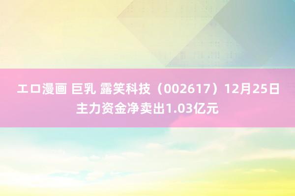   エロ漫画 巨乳 露笑科技（002617）12月25日主力资金净卖出1.03亿元