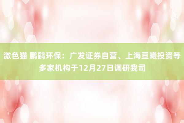   激色猫 鹏鹞环保：广发证券自营、上海亘曦投资等多家机构于12月27日调研我司