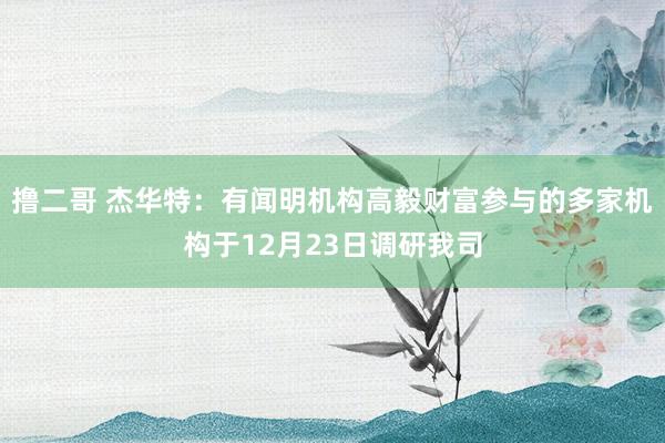   撸二哥 杰华特：有闻明机构高毅财富参与的多家机构于12月23日调研我司