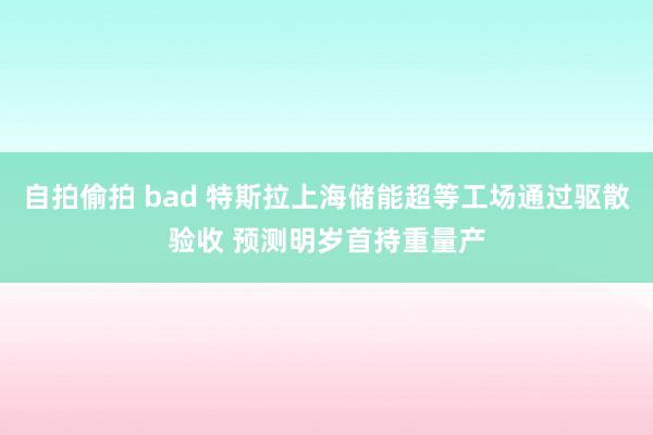   自拍偷拍 bad 特斯拉上海储能超等工场通过驱散验收 预测明岁首持重量产