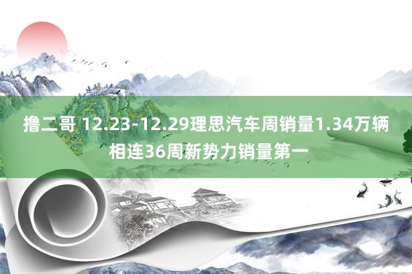   撸二哥 12.23-12.29理思汽车周销量1.34万辆 相连36周新势力销量第一
