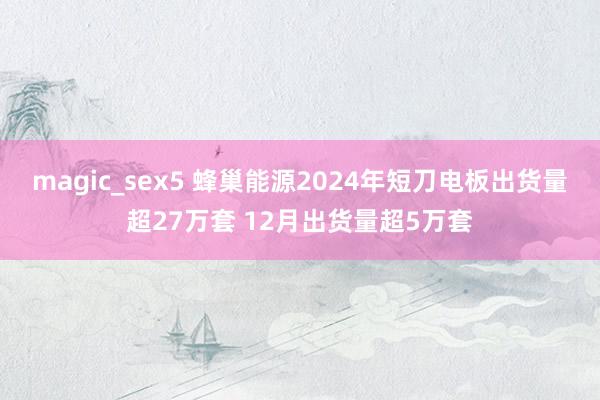   magic_sex5 蜂巢能源2024年短刀电板出货量超27万套 12月出货量超5万套