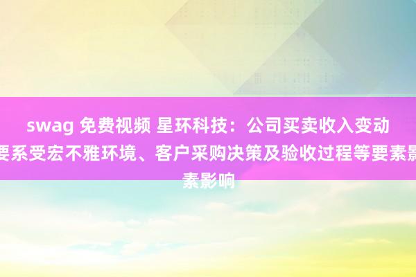   swag 免费视频 星环科技：公司买卖收入变动主要系受宏不雅环境、客户采购决策及验收过程等要素影响
