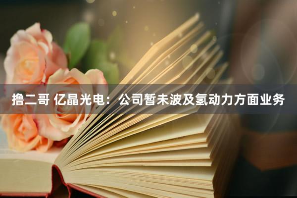   撸二哥 亿晶光电：公司暂未波及氢动力方面业务