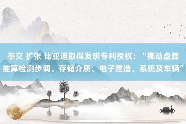   拳交 扩张 比亚迪取得发明专利授权：“挪动盘算推算检测步调、存储介质、电子建造、系统及车辆”