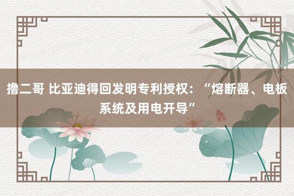   撸二哥 比亚迪得回发明专利授权：“熔断器、电板系统及用电开导”