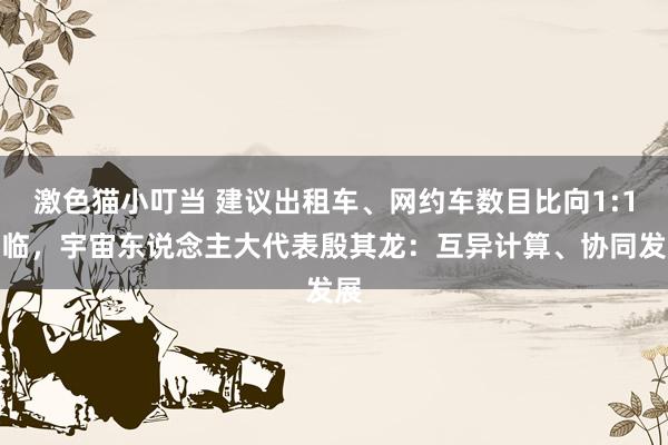   激色猫小叮当 建议出租车、网约车数目比向1:1濒临，宇宙东说念主大代表殷其龙：互异计算、协同发展