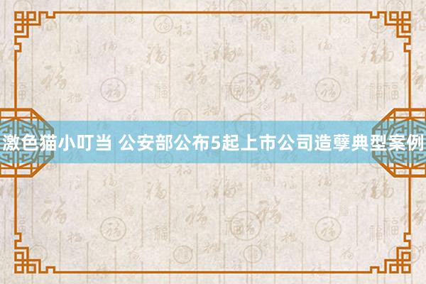   激色猫小叮当 公安部公布5起上市公司造孽典型案例