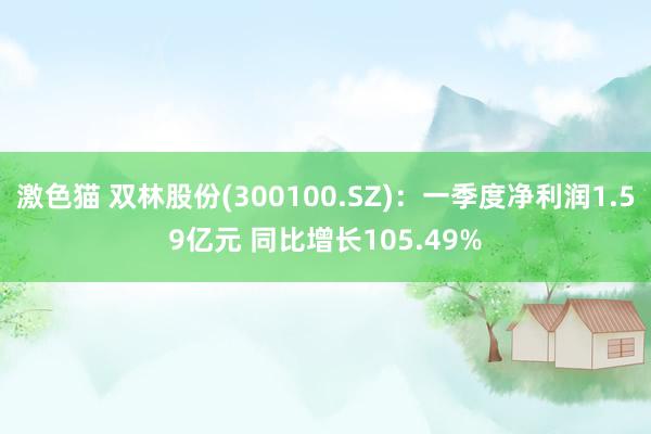   激色猫 双林股份(300100.SZ)：一季度净利润1.59亿元 同比增长105.49%