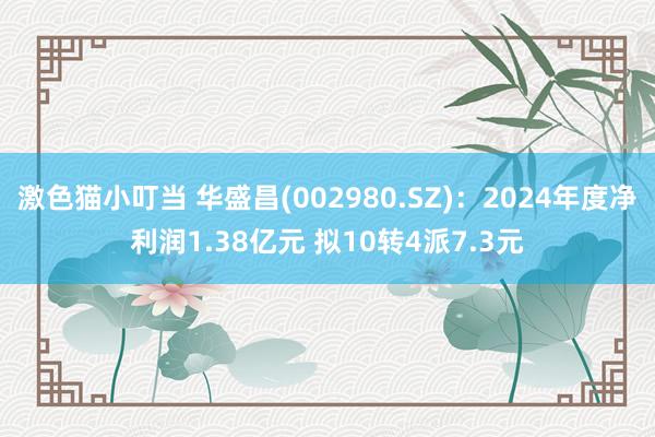   激色猫小叮当 华盛昌(002980.SZ)：2024年度净利润1.38亿元 拟10转4派7.3元