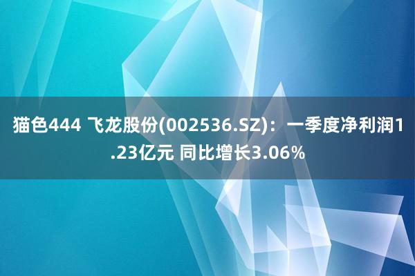   猫色444 飞龙股份(002536.SZ)：一季度净利润1.23亿元 同比增长3.06%