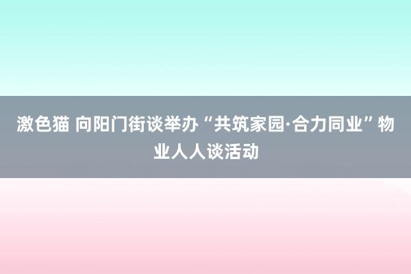   激色猫 向阳门街谈举办“共筑家园·合力同业”物业人人谈活动