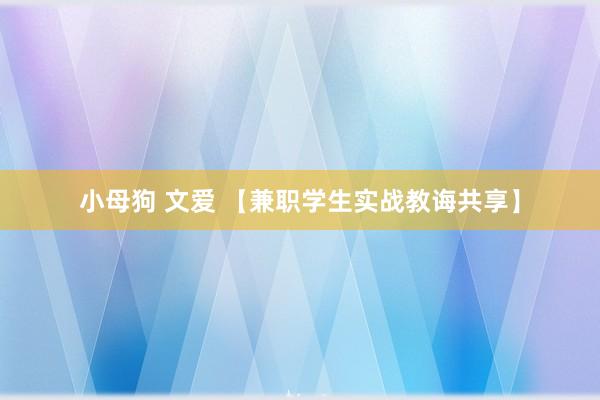   小母狗 文爱 【兼职学生实战教诲共享】