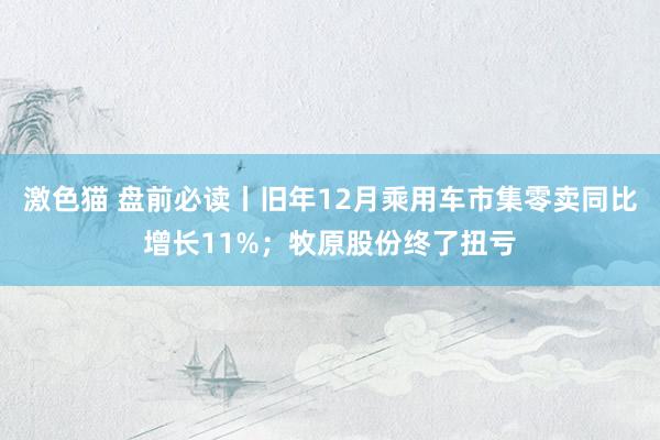 激色猫 盘前必读丨旧年12月乘用车市集零卖同比增长11%；牧原股份终了扭亏