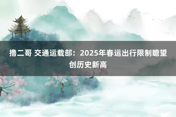   撸二哥 交通运载部：2025年春运出行限制瞻望创历史新高