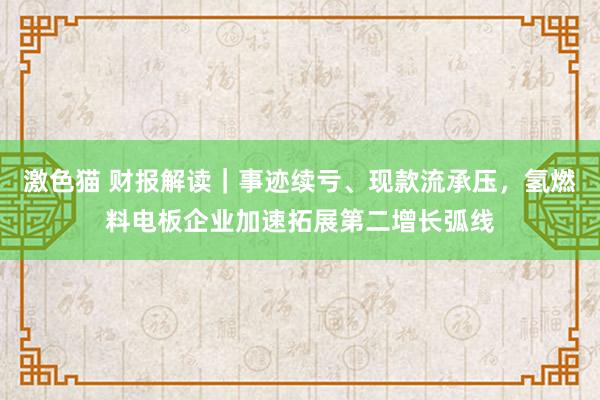 激色猫 财报解读｜事迹续亏、现款流承压，氢燃料电板企业加速拓展第二增长弧线