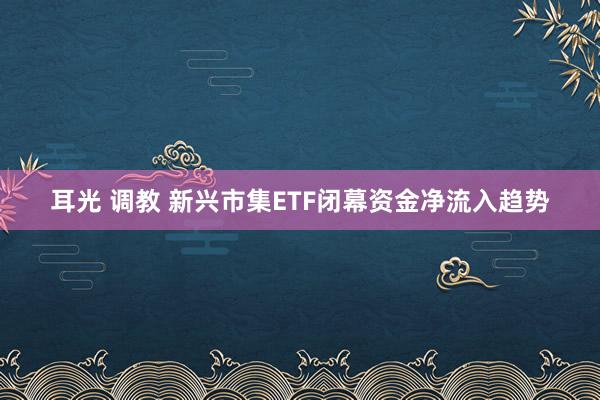 耳光 调教 新兴市集ETF闭幕资金净流入趋势