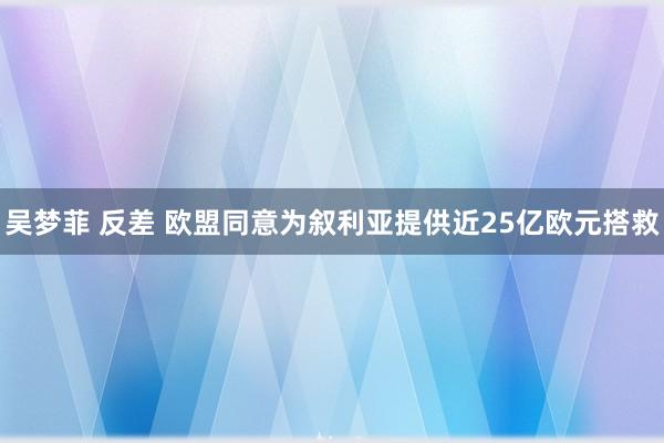   吴梦菲 反差 欧盟同意为叙利亚提供近25亿欧元搭救