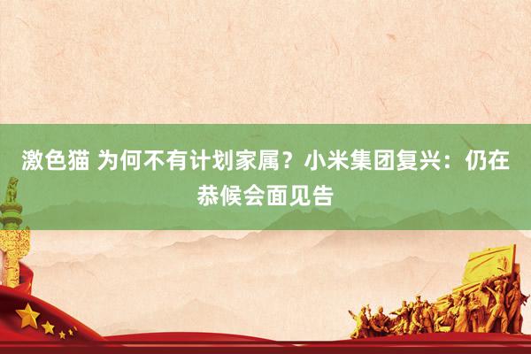 激色猫 为何不有计划家属？小米集团复兴：仍在恭候会面见告