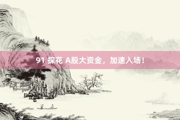   91 探花 A股大资金，加速入场！