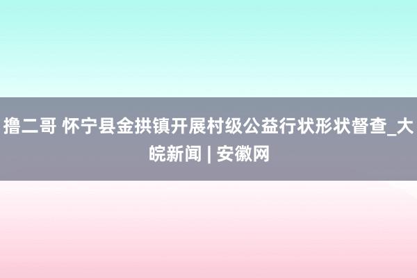   撸二哥 怀宁县金拱镇开展村级公益行状形状督查_大皖新闻 | 安徽网