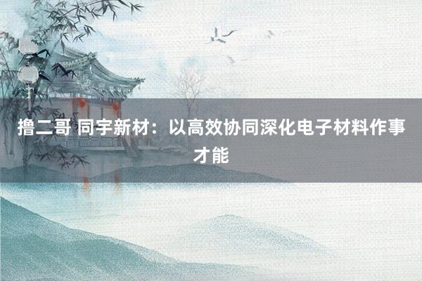   撸二哥 同宇新材：以高效协同深化电子材料作事才能