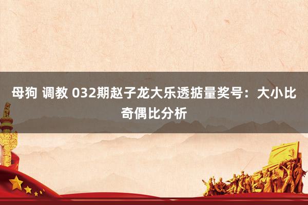   母狗 调教 032期赵子龙大乐透掂量奖号：大小比奇偶比分析