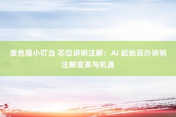   激色猫小叮当 芯位讲明注解：AI 起始民办讲明注解变革与机遇